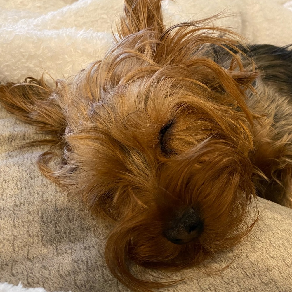 Meet your Posher, Andrew